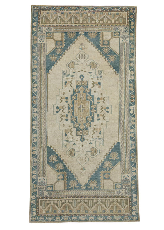 Turkish Anatolian Rug 3'4" x 6'8" #17649