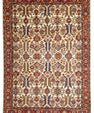 Oriental Handmade Rug  9'11" x 13'11" #22821