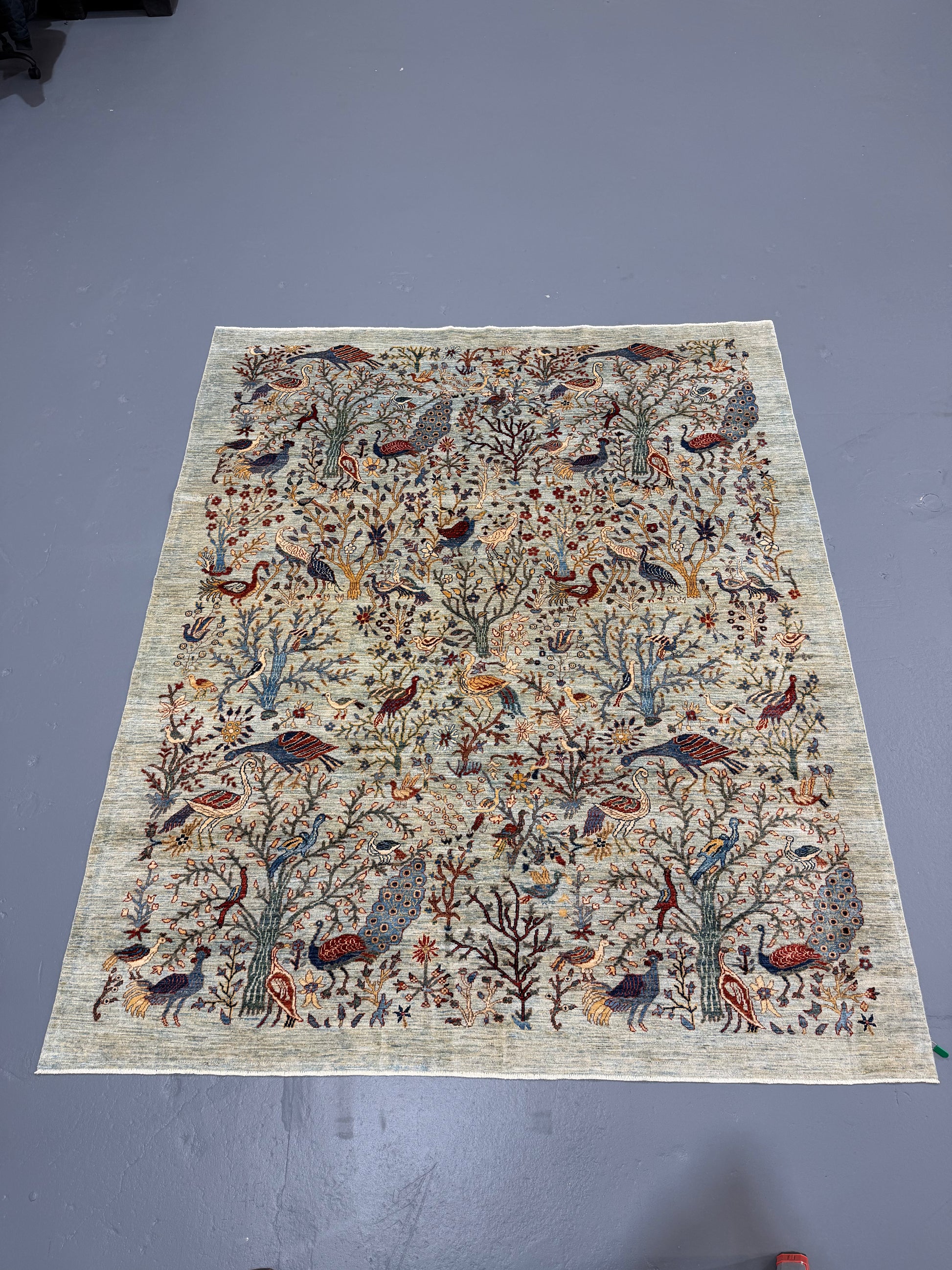 Oriental Hand Knotted Rug 8'2" x 9'8" #21412
