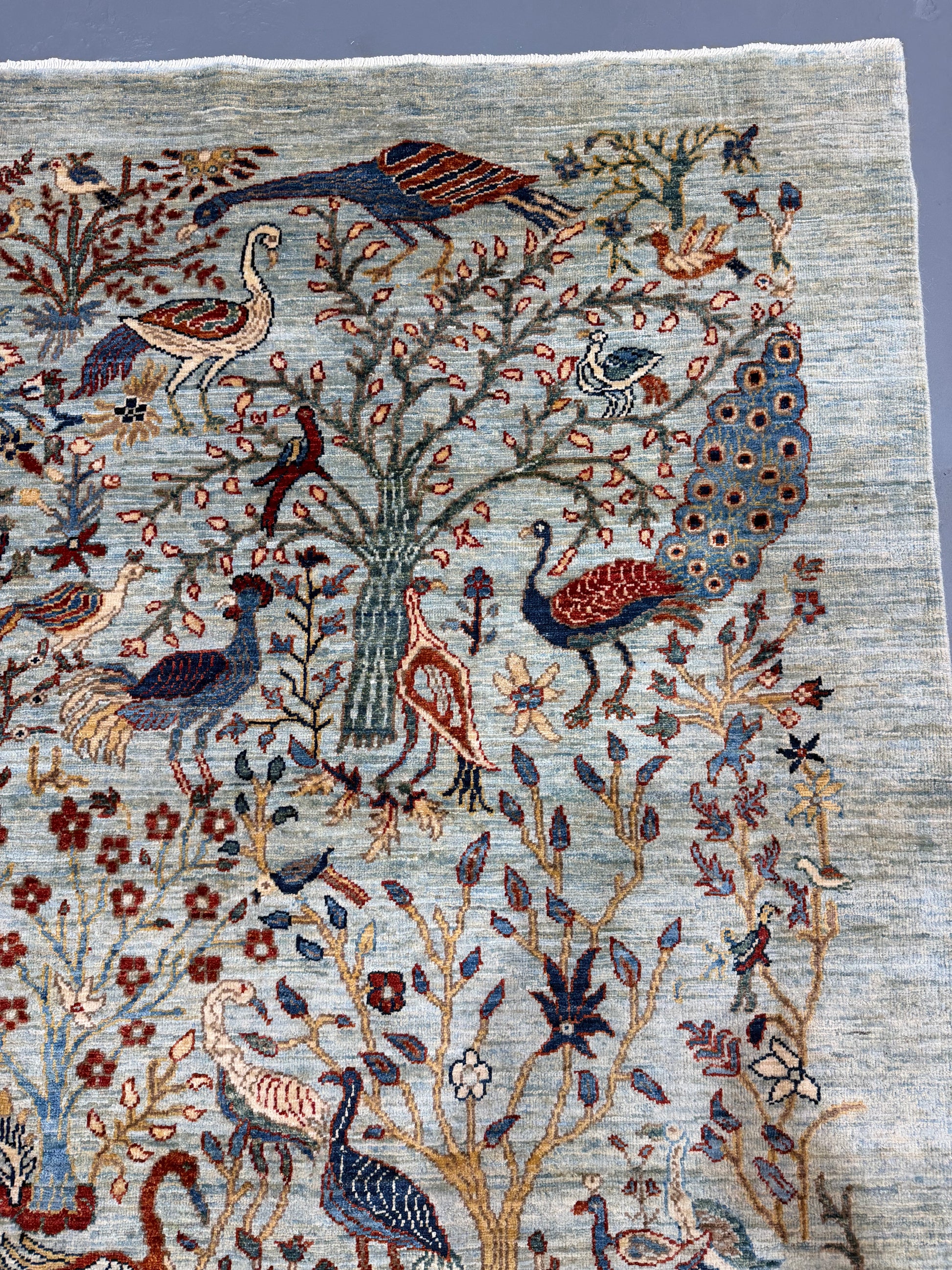 Oriental Hand Knotted Rug 8'2" x 9'8" #21412