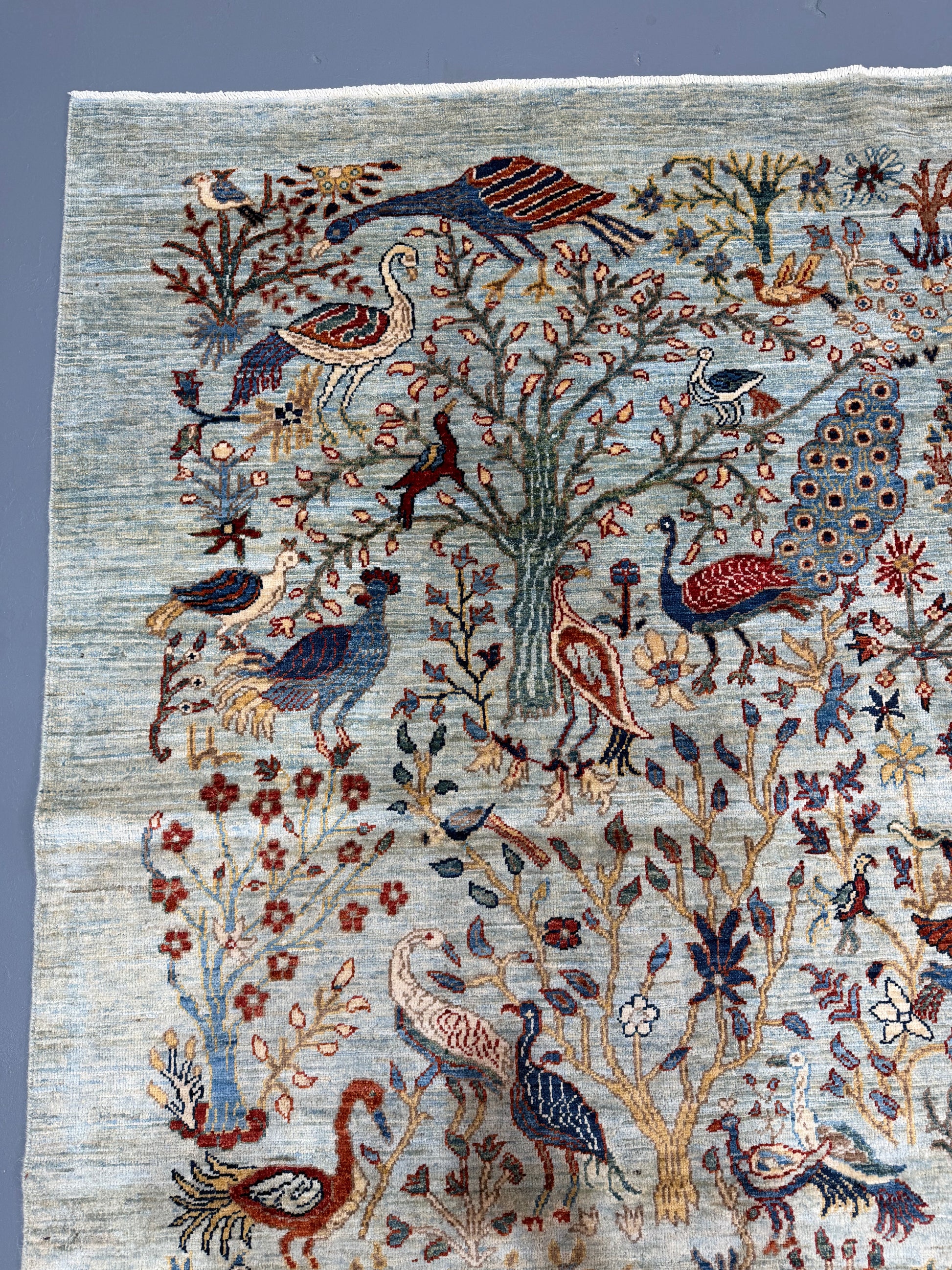 Oriental Hand Knotted Rug 8'2" x 9'8" #21412