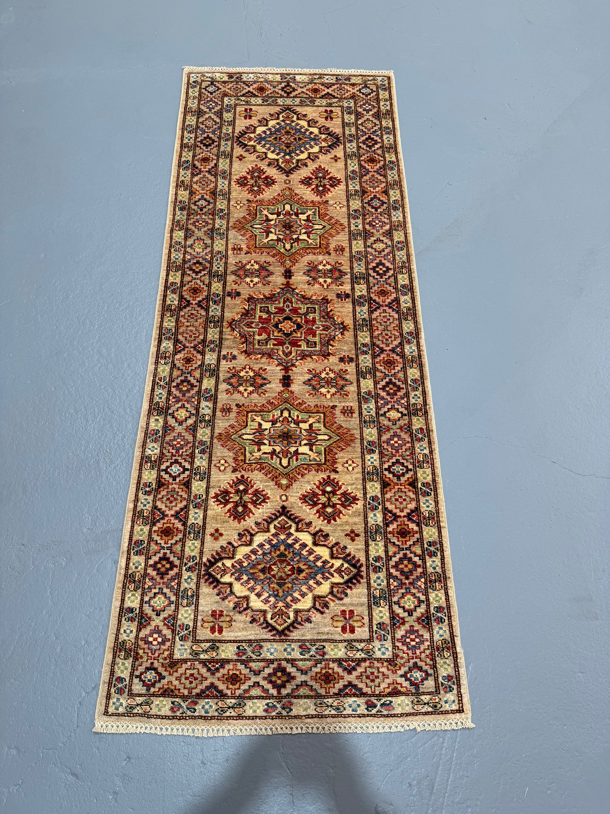 Oriental Hand Knotted Rug 2'5" x 6'9" #21423