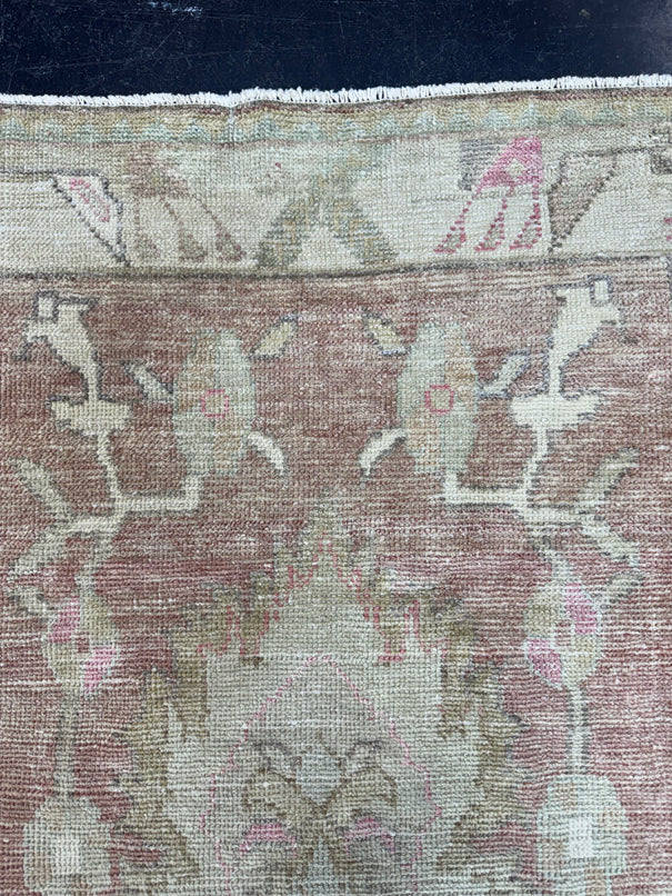 Turkish Anatolian Rug 2'9" x 5'4" #22272