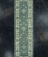 Turkish Oushak Rug 2'10" x 9'8" #19165