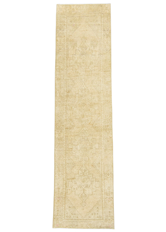 Turkish Anatolian Runner Rug 2'4" x 9'6" #22291