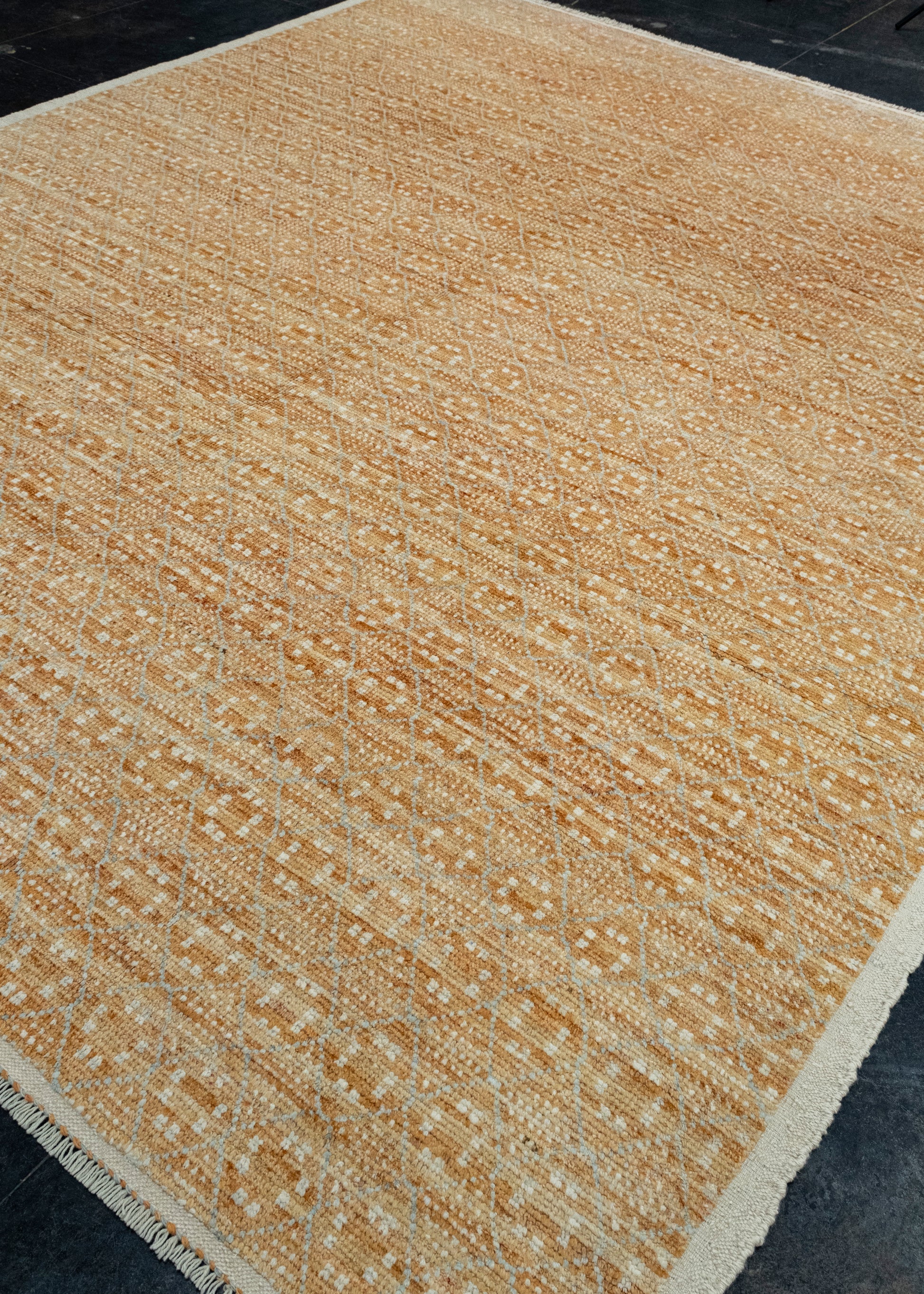 Hand Knotted Modern Rug 9'7" x 11'3" #17446