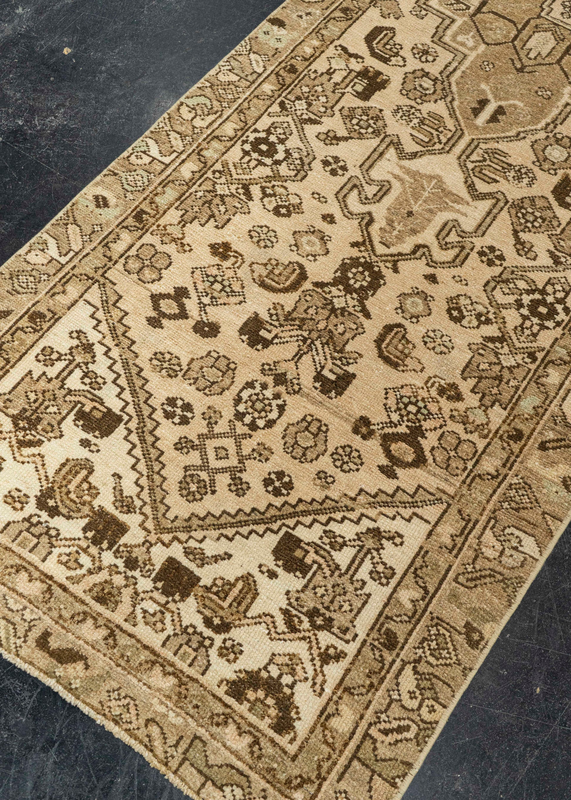 Turkish Anatolian Runner Rug 2'8" x 8'10" #22313
