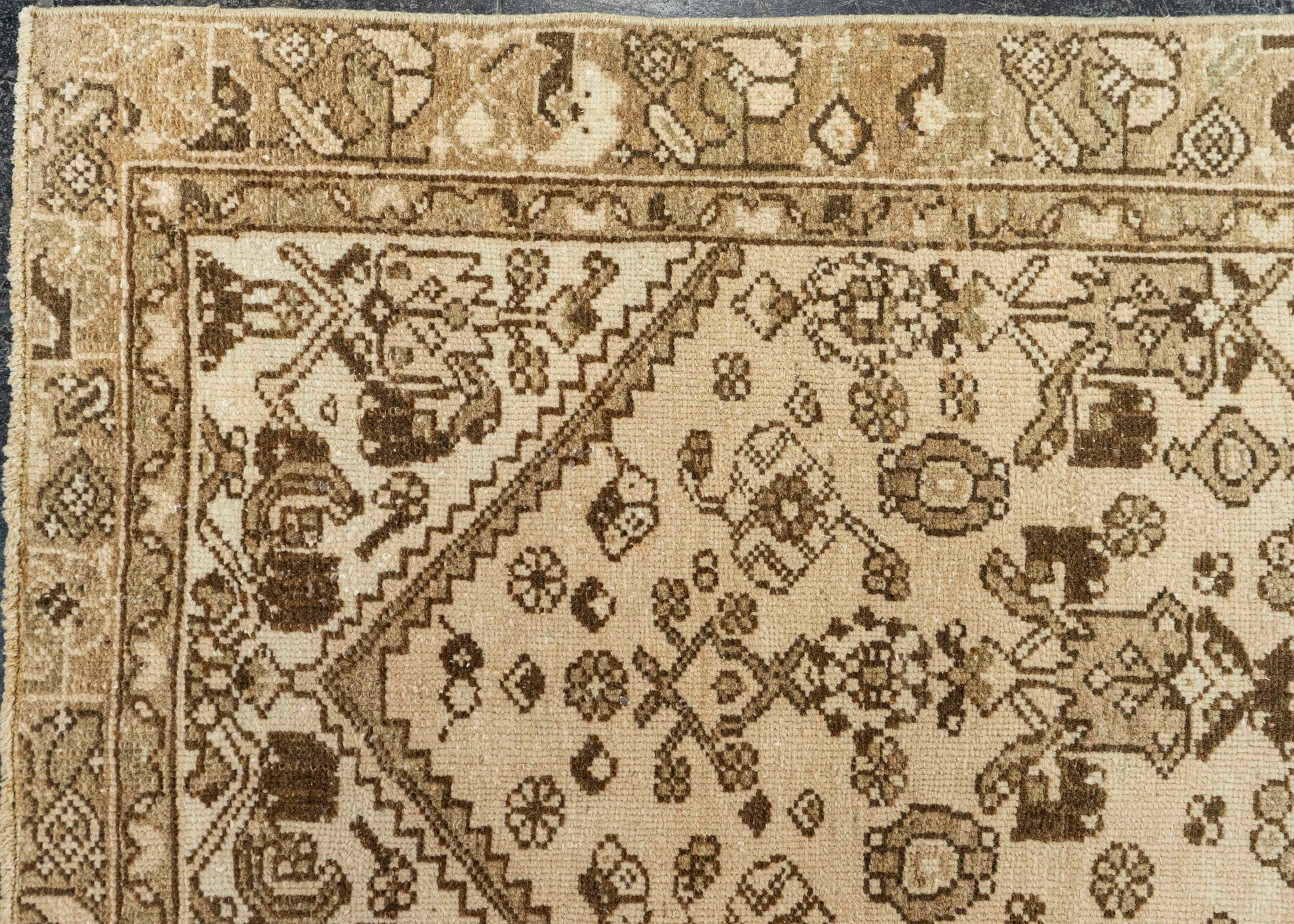 Turkish Anatolian Runner Rug 2'8" x 8'10" #22313