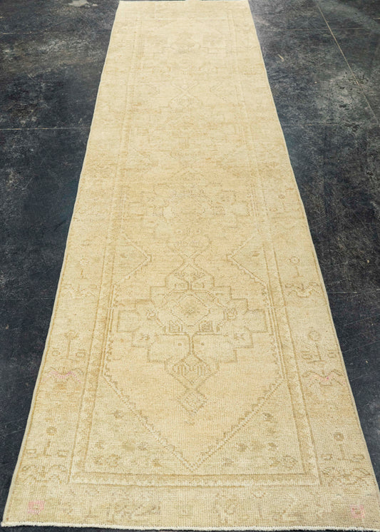 Turkish Anatolian Runner Rug 2'4" x 9'6" #22291