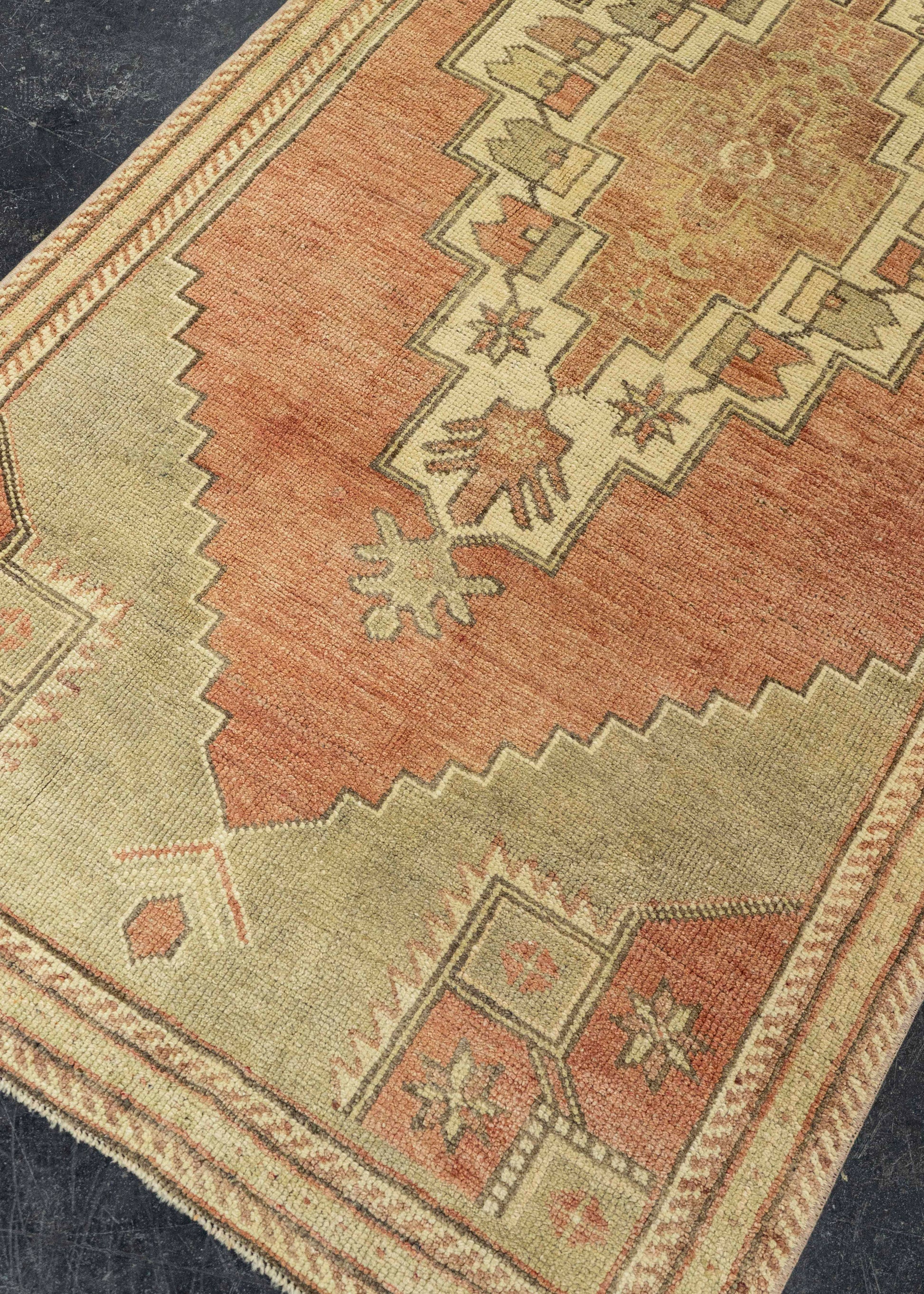 Turkish Anatolian Runner Rug 3'1" x 9'6" #22246