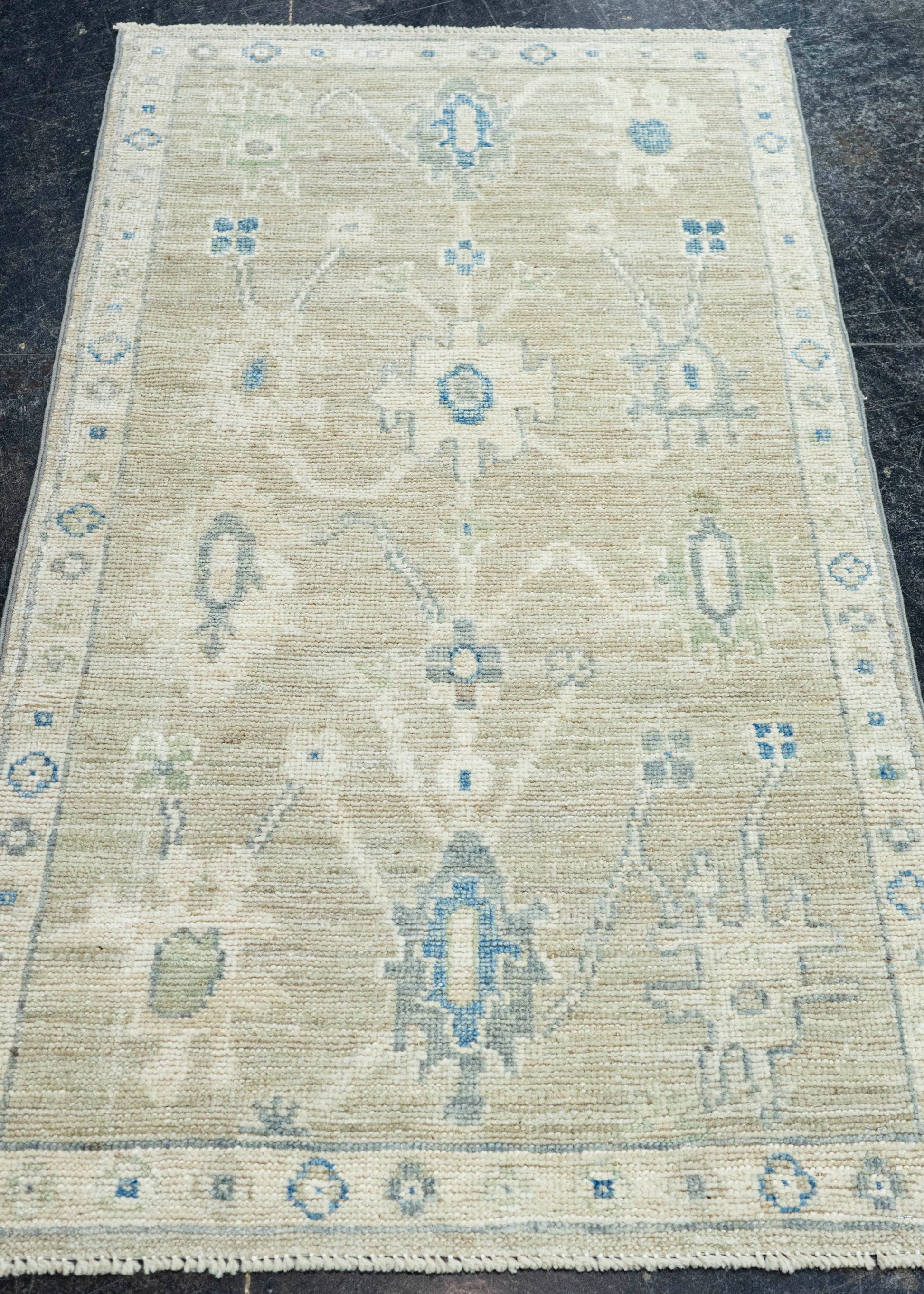 Oushak Rug 2'2" x 4' #22834