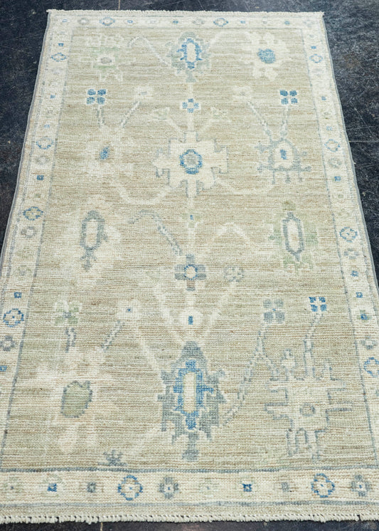 Oushak Rug 2'2" x 4' #22834
