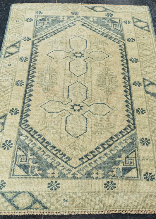 Turkish Anatolian Rug 2'7" x 4' #22280